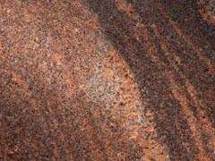 Autumn-Brown_Pol_web-220