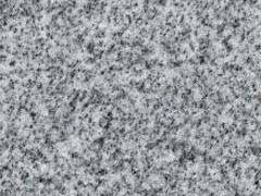 Georgia-Gray-2_web-220
