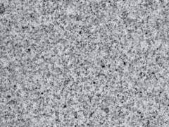 SIERRA-WHITE_web-220